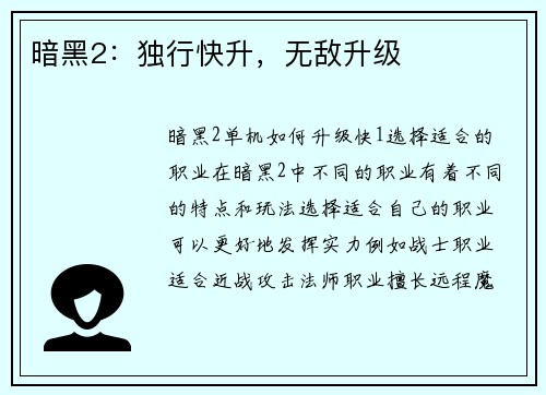 暗黑2：独行快升，无敌升级